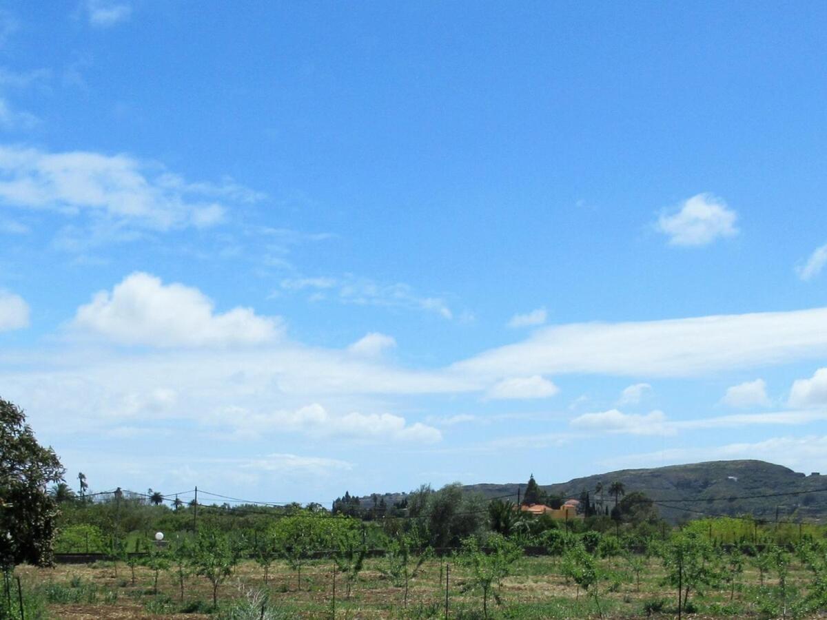 Casa Rural El Alpendre Vega de San Mateo Kültér fotó