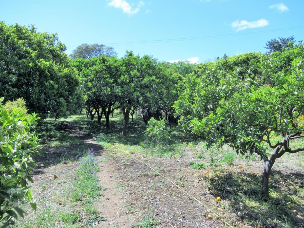 Casa Rural El Alpendre Vega de San Mateo Kültér fotó