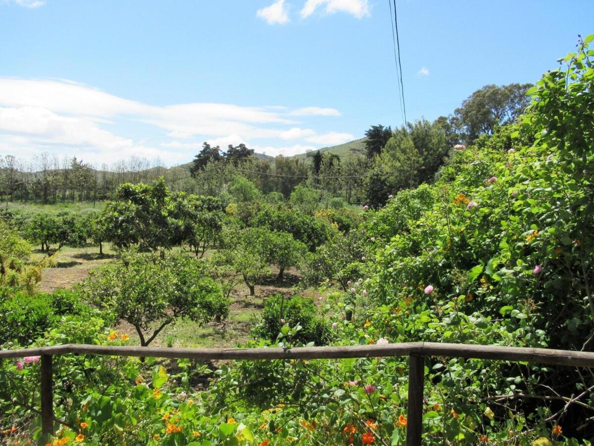 Casa Rural El Alpendre Vega de San Mateo Kültér fotó