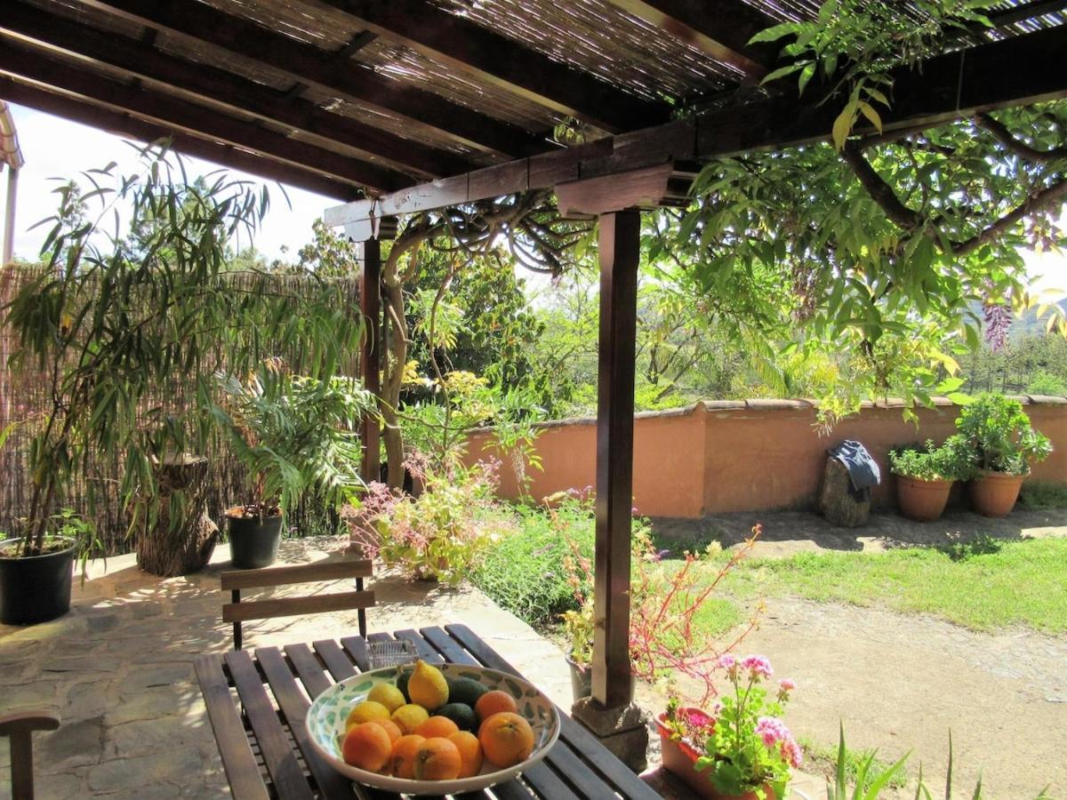 Casa Rural El Alpendre Vega de San Mateo Kültér fotó